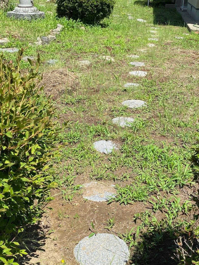 日本庭園用 天然石 飛び石・踏み石 約105枚 円形・乱形【石川県引き取り限定】