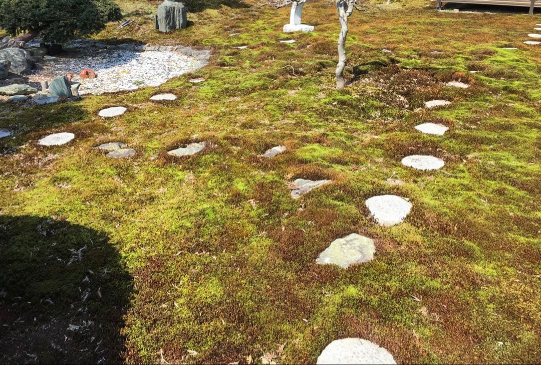 日本庭園用 天然石 飛び石・踏み石 約105枚 円形・乱形【石川県引き取り限定】