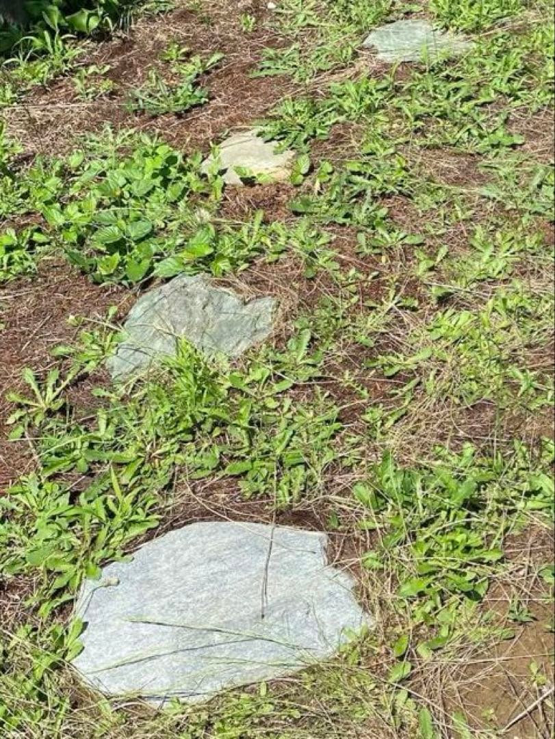 日本庭園用 天然石 飛び石・踏み石 約105枚 円形・乱形【石川県引き取り限定】