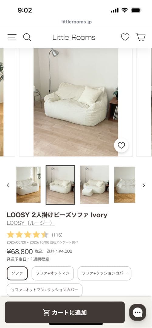 LOOSY 2人掛けビーズソファ Ivory ※おまけで同色の付替カバーあり