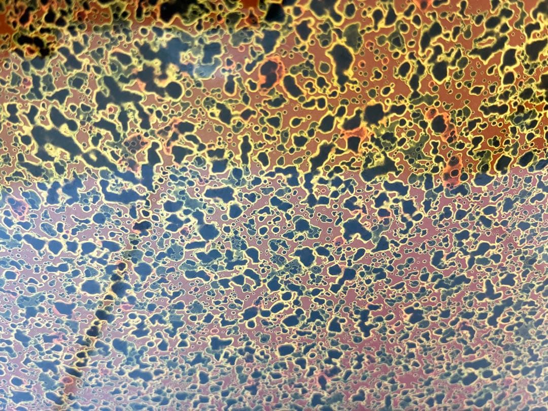 津軽塗 お膳 [約30cm ] 10枚まとめ売り 業務用・来客用・おもてなし用