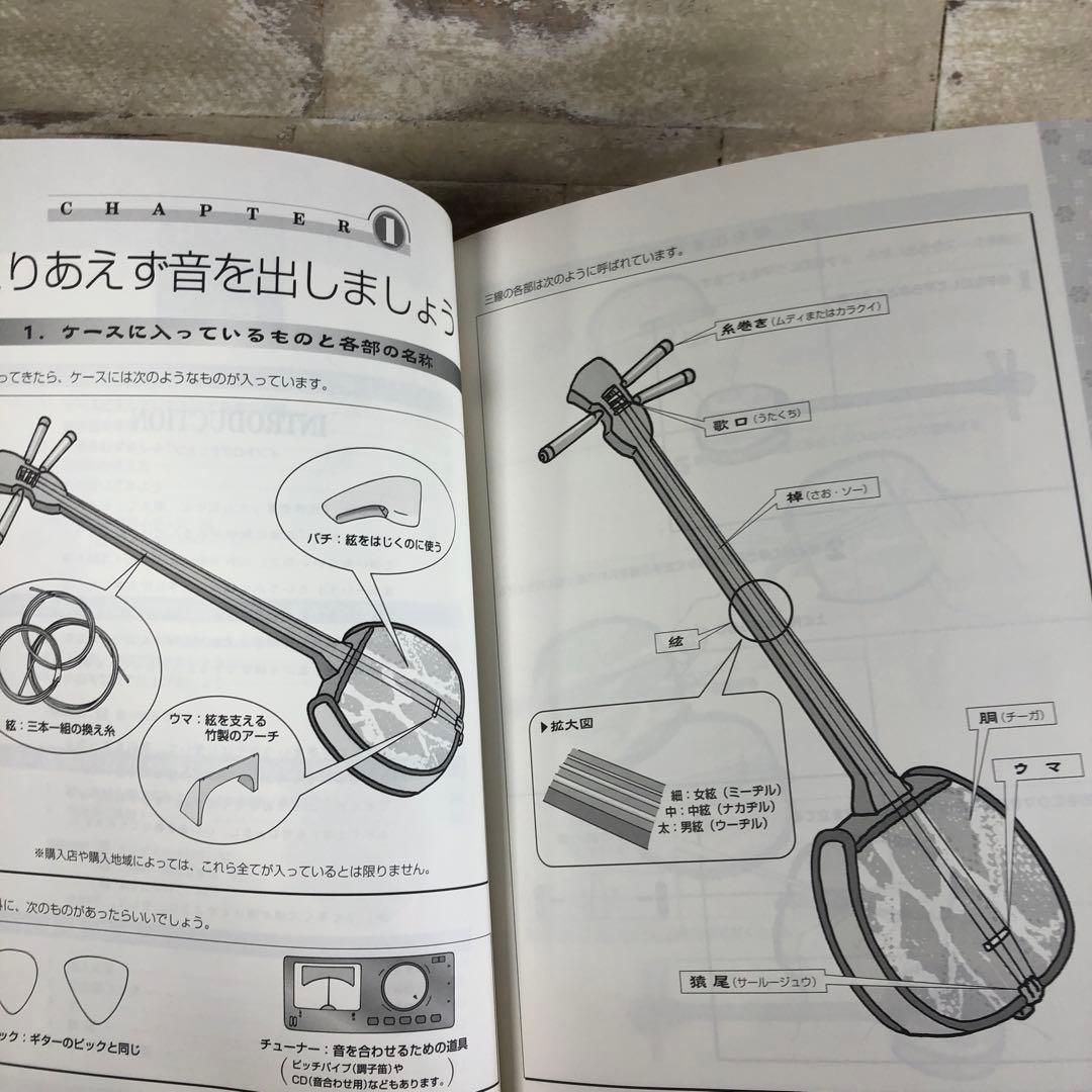 沖縄　蛇皮模様 三線 3弦と付属付き