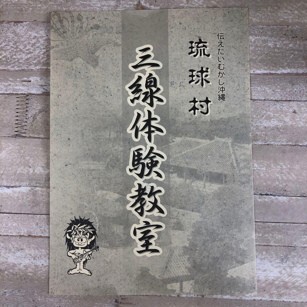 沖縄　蛇皮模様 三線 3弦と付属付き
