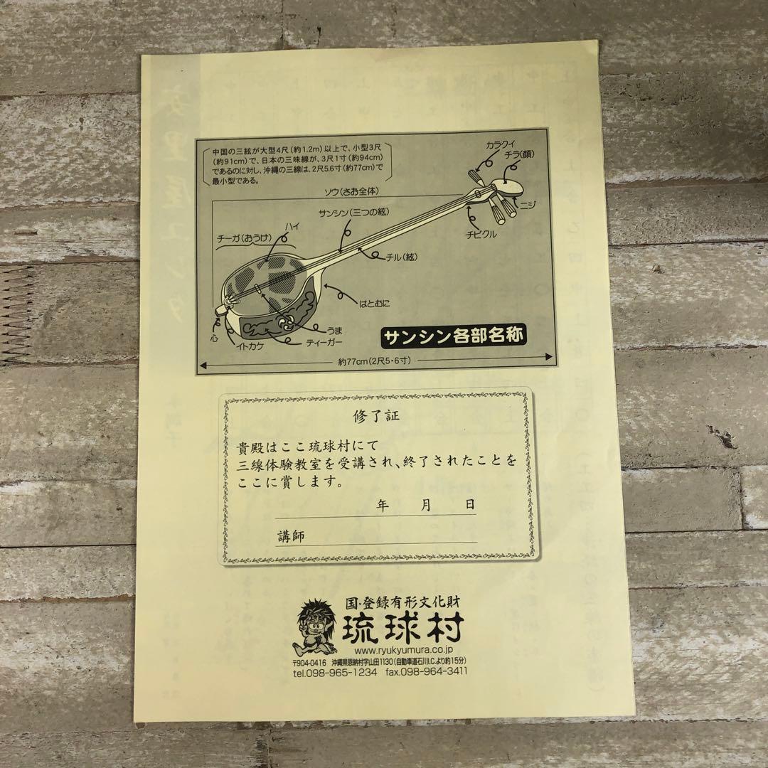 沖縄　蛇皮模様 三線 3弦と付属付き