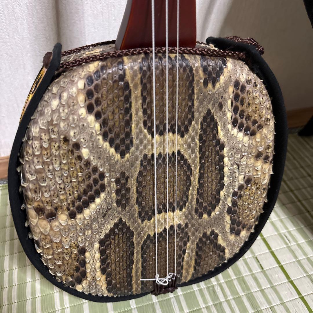 三線 蛇三線 本皮 本革 蛇皮 蛇革 三味線 琉球 沖縄 楽器 ソフトケース