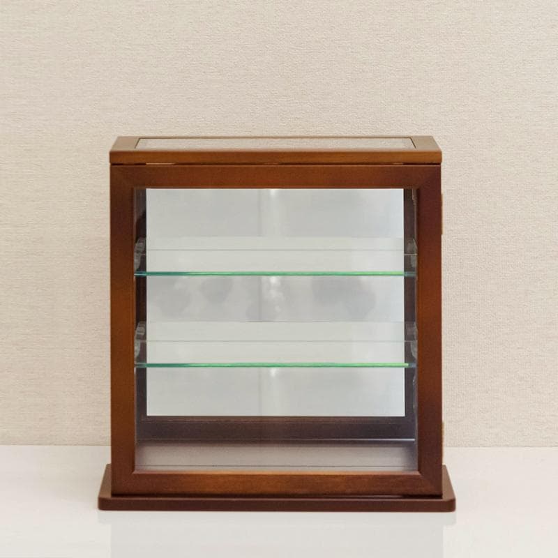 《新品・送料無料》スリムコレクションケース　ヨコ型　BR/WH