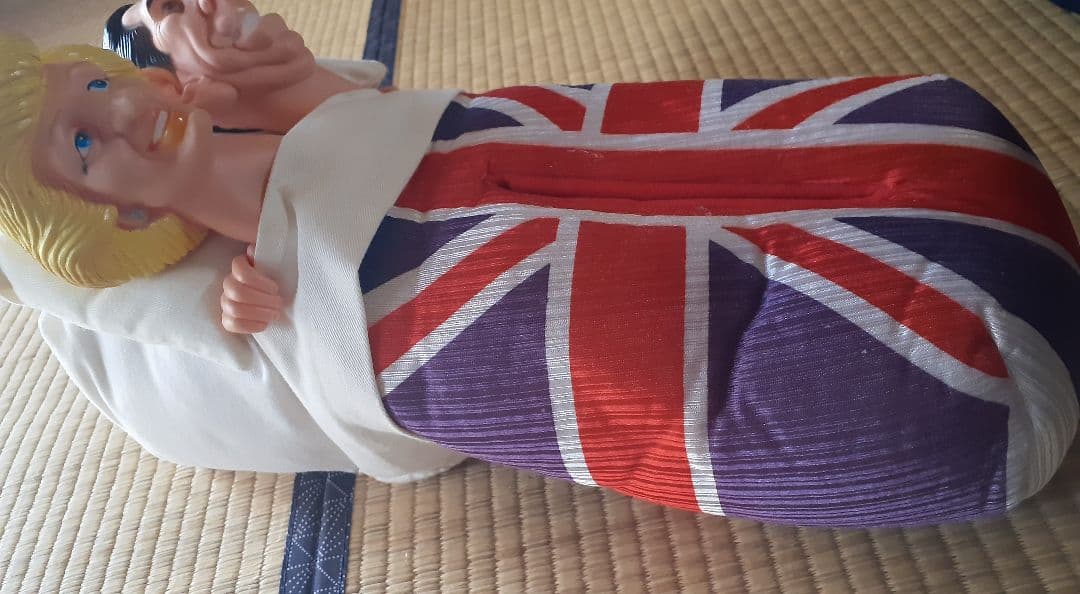 ダイアナ妃とチャールズ皇太子 ティッシュボックスカバー