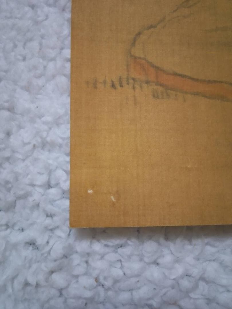 富取芳斎 絵 日本画 直筆 書画 南画家 絵師 文人 江戸 明治 新潟