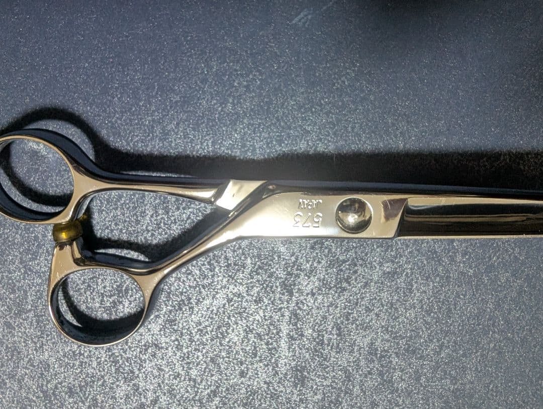 衛生日用品 HIKARI BLAZE 573