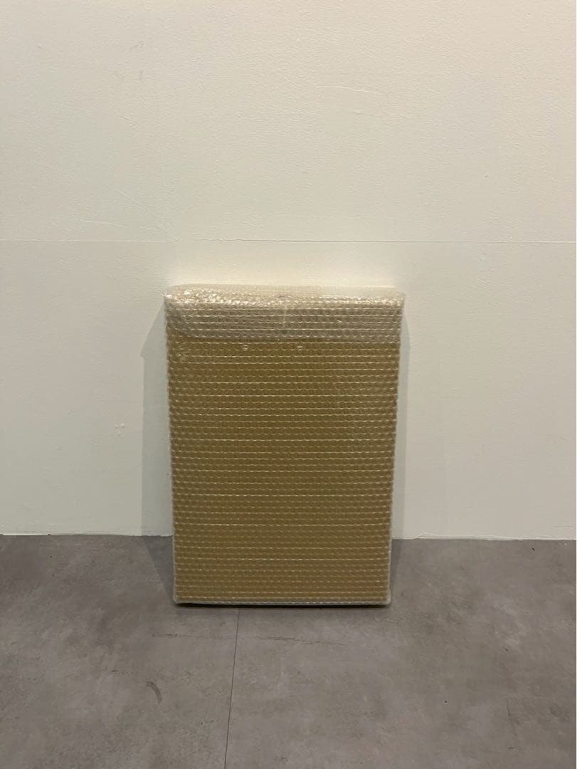 田中一太《未然の表皮 No.14》2021年