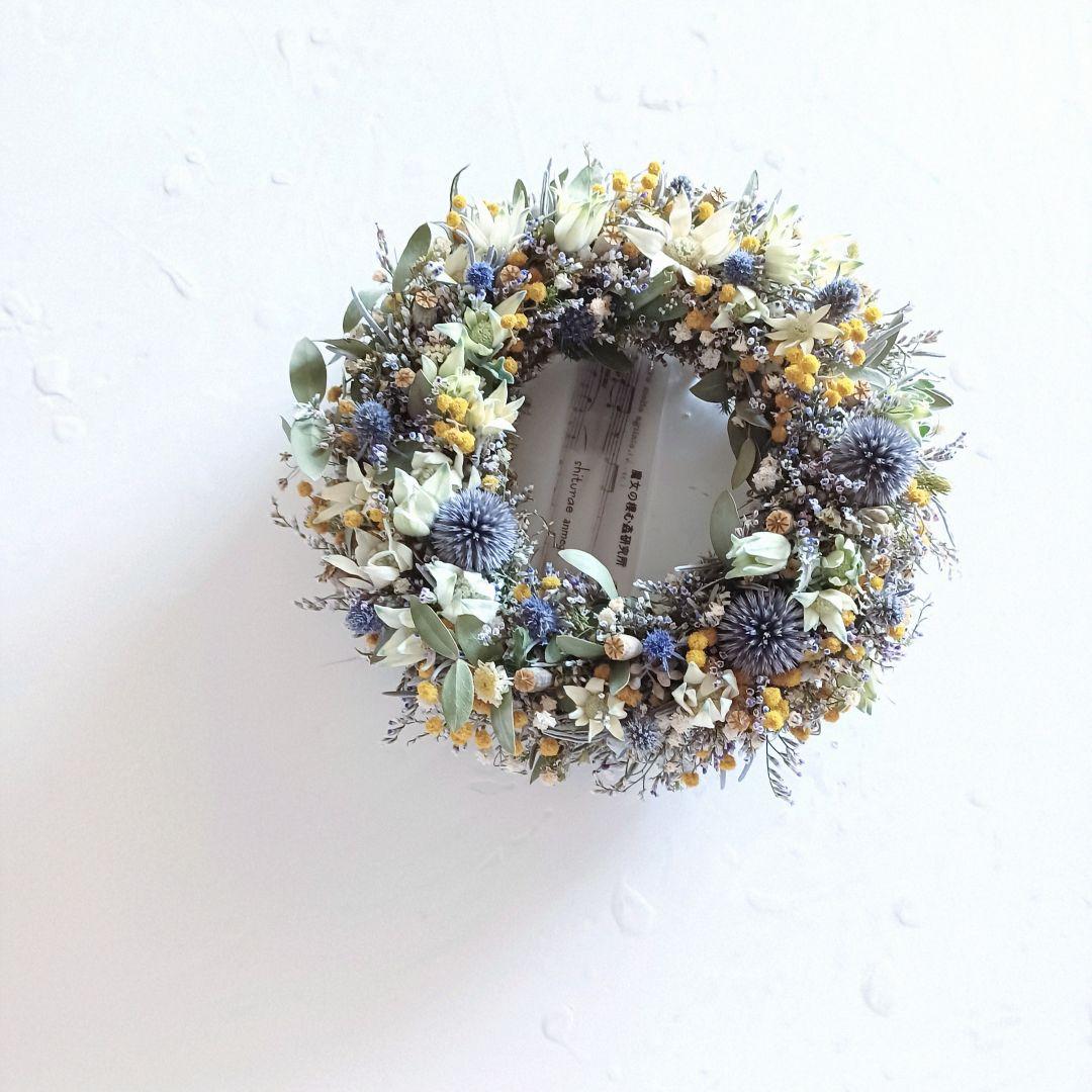 【魔女の棲む森 ～裏庭～】ドライフラワー リース 夏