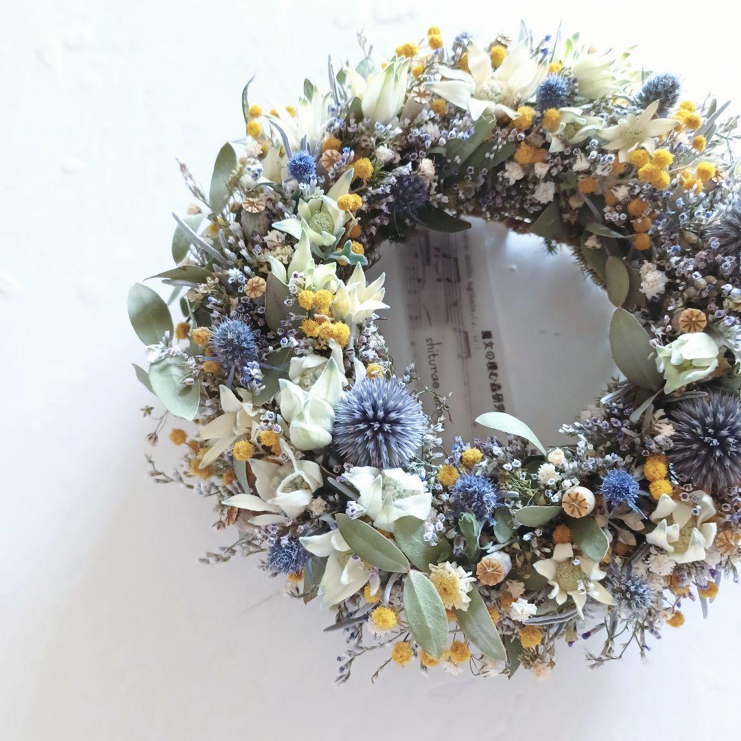 【魔女の棲む森 ～裏庭～】ドライフラワー リース 夏