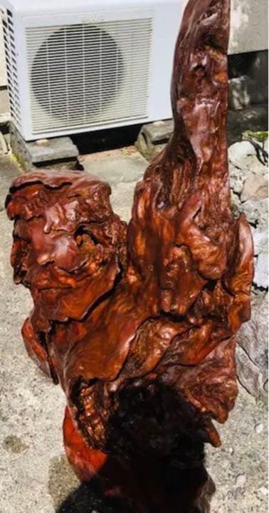 天然木 木の根 置物 オブジェ - メルカリ