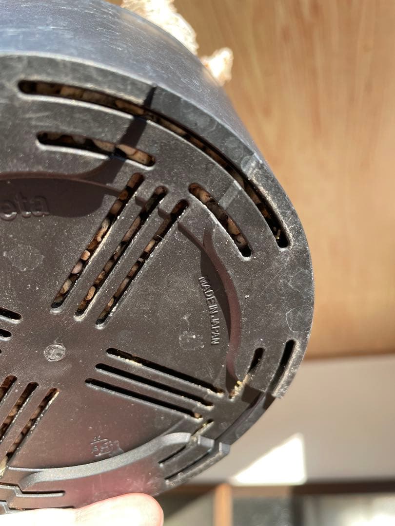 塊根植物 パキポディウム　デンシフローラム var.ブレビカリックス