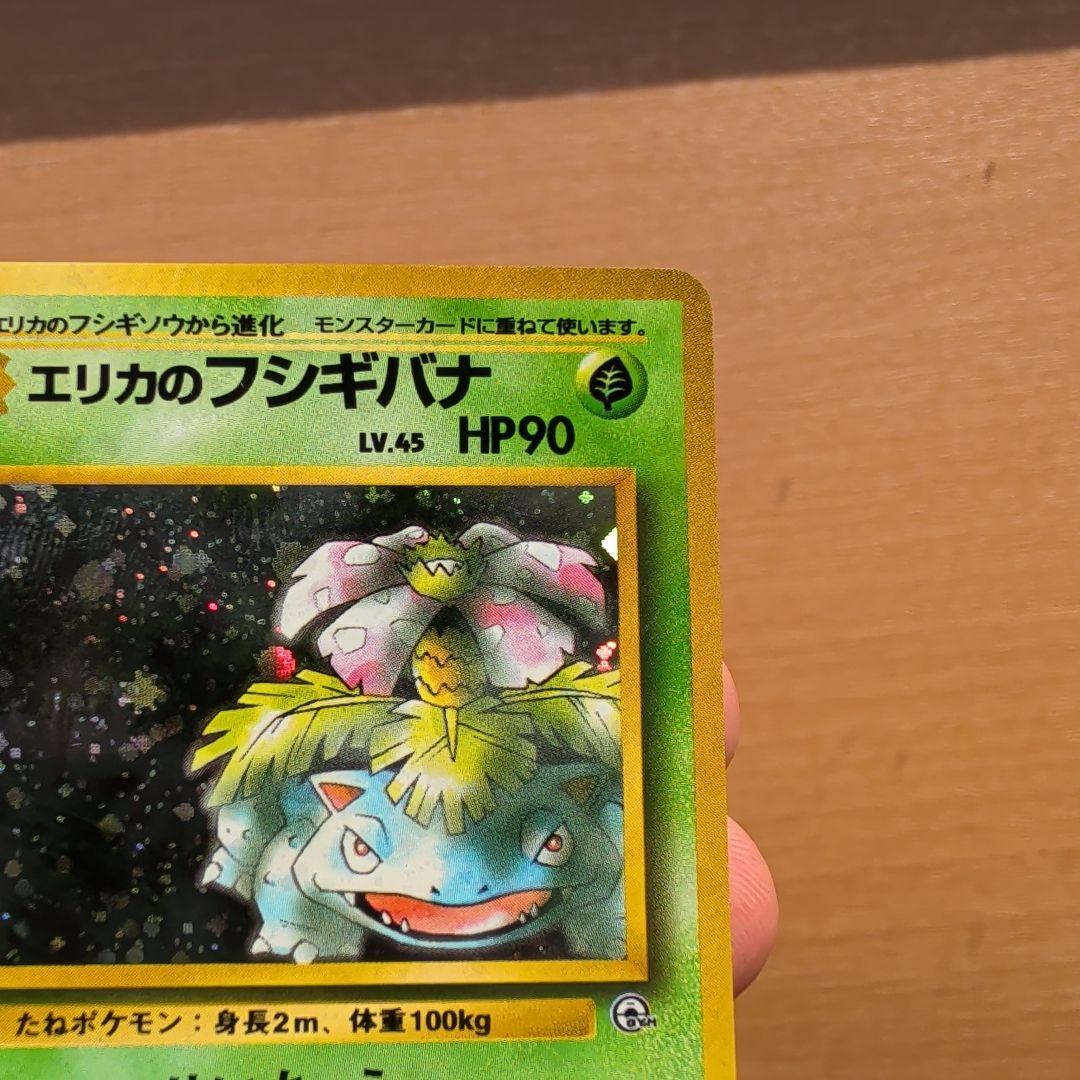 エリカのフシギバナ - メルカリ