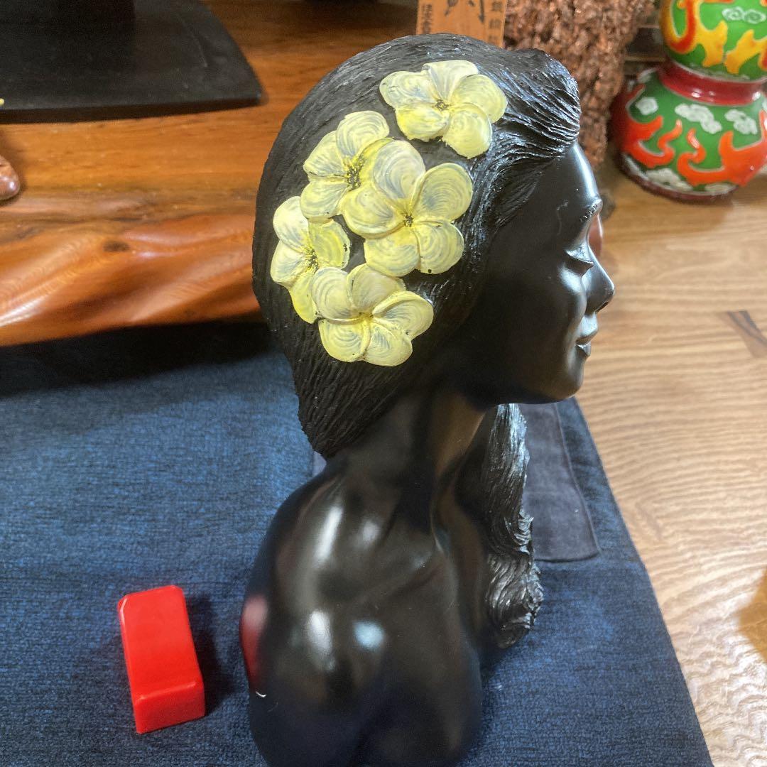 ▽ ` )ノ巨大な黒サンゴ(コーラル)いつまで美しい54年前の深海の妻神