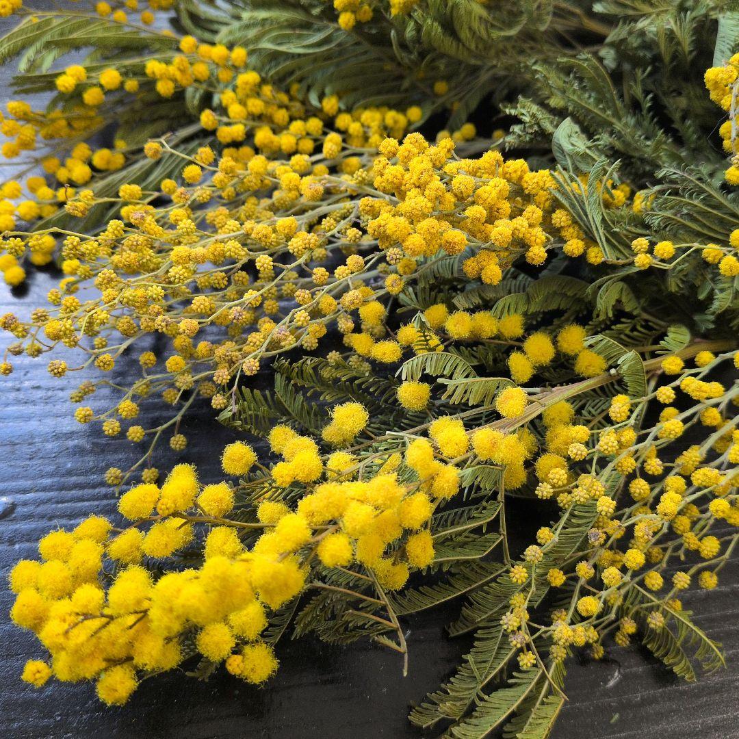 はなこ様✼同梱