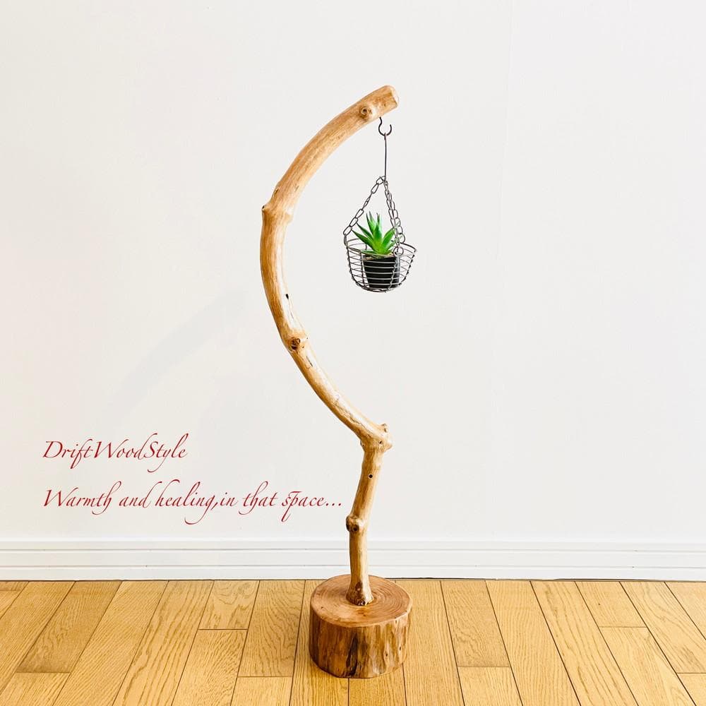 曲線を描く天然流木のランプスタンド 置物 北欧 照明 ランタン N4