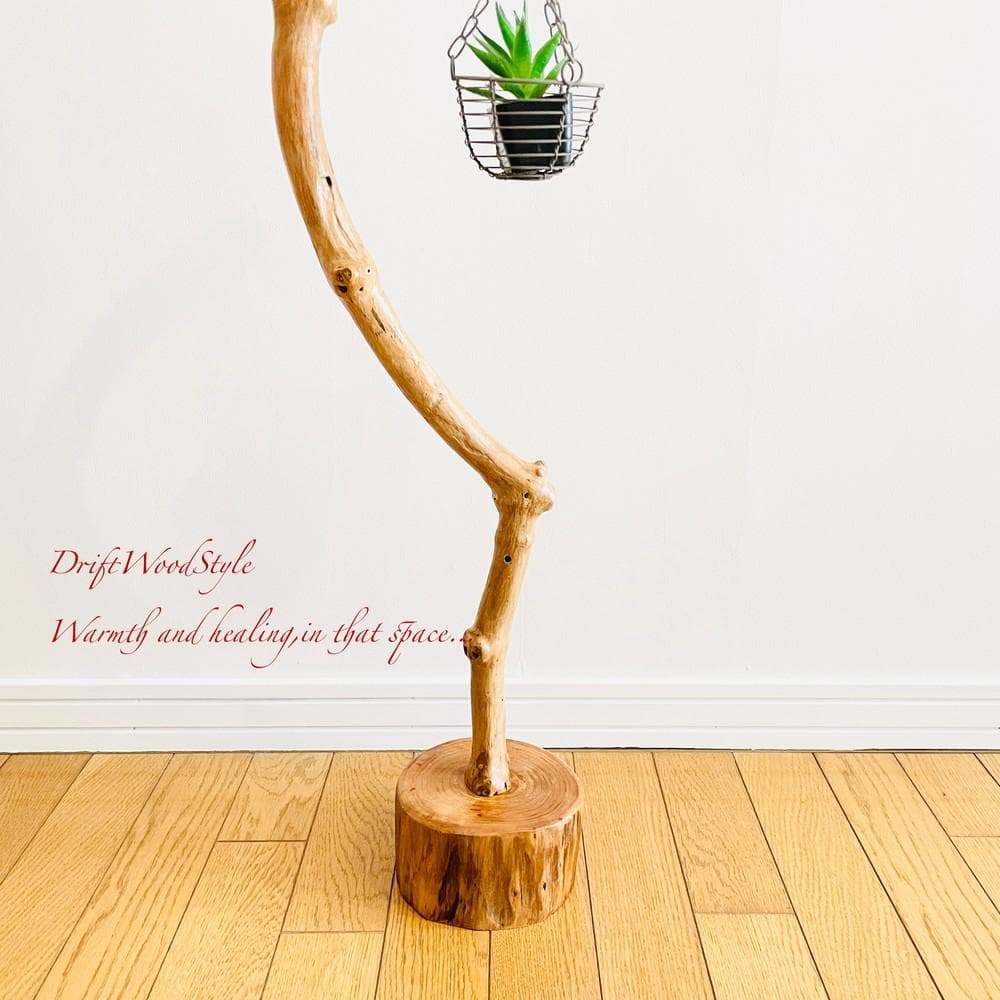 曲線を描く天然流木のランプスタンド 置物 北欧 照明 ランタン N4