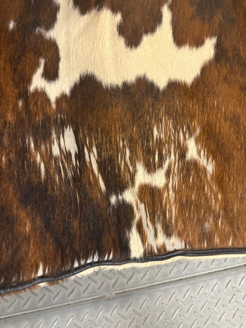 シェーズロング