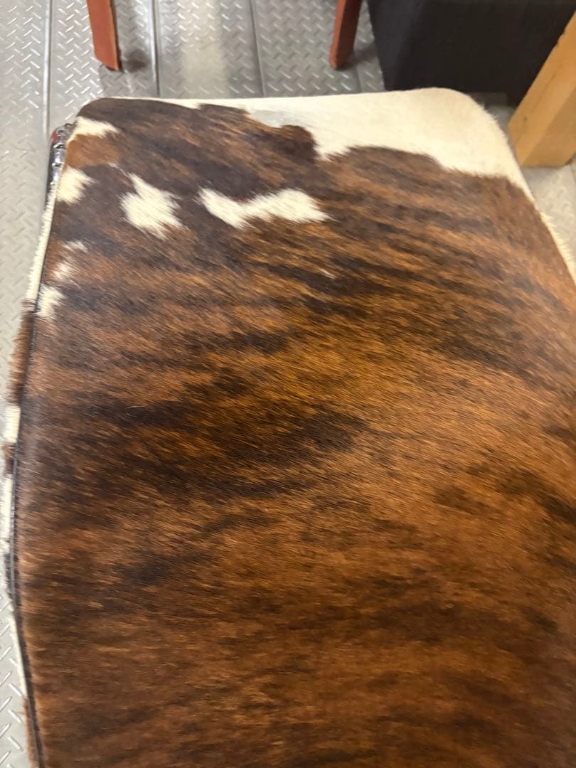 シェーズロング