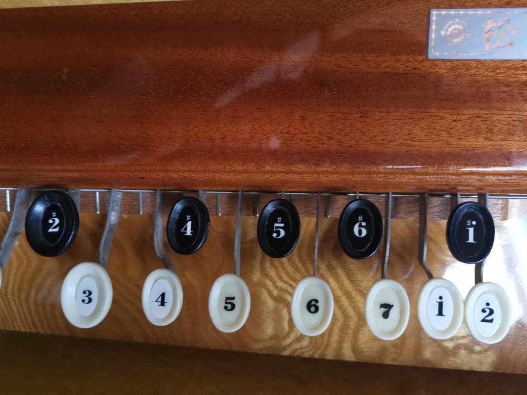 大正琴 琴伝流 ベース 松風 ハードケース＋コード(10M) 付