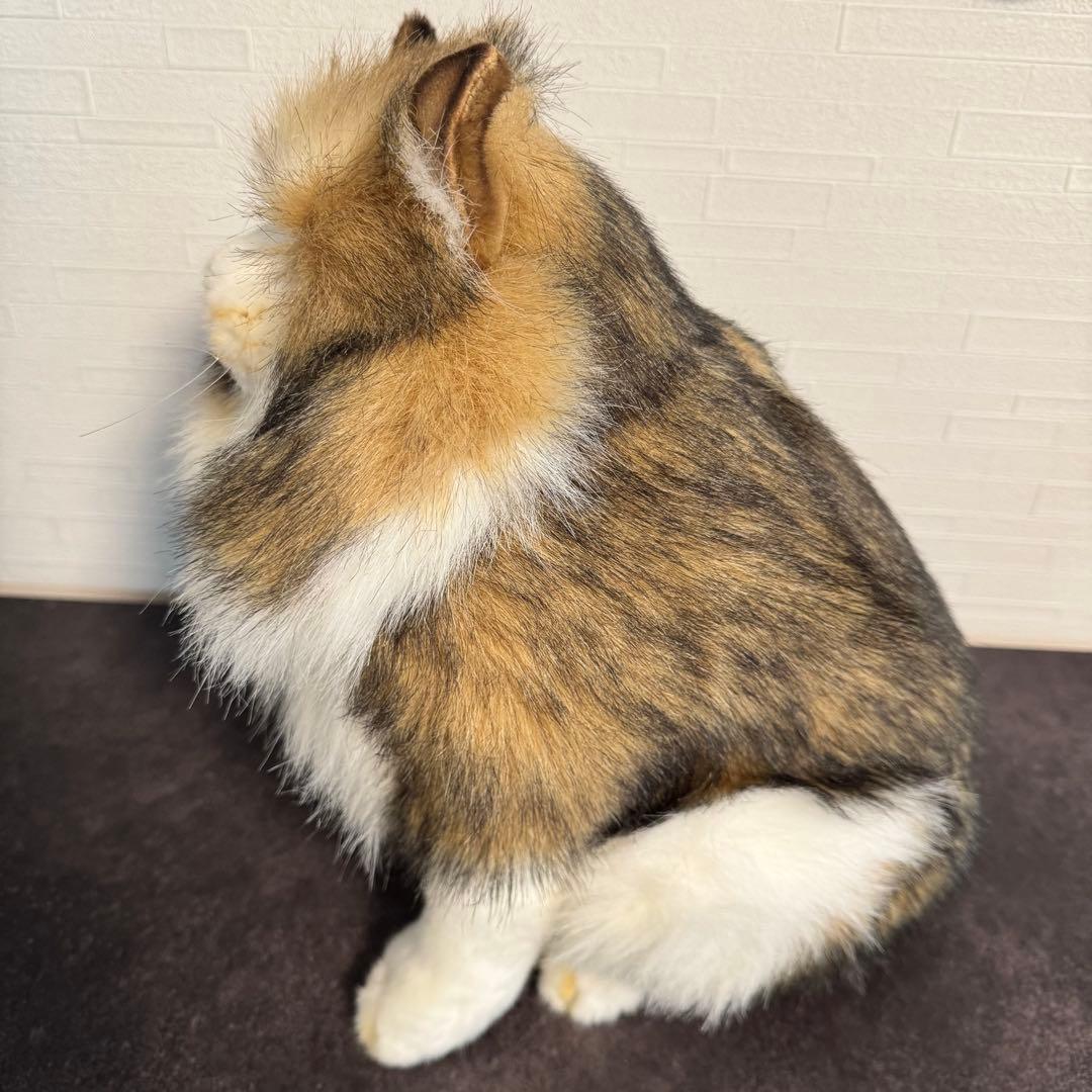 きな○ HANSA （ハンサ）ノルウェージャンフォレストキャット