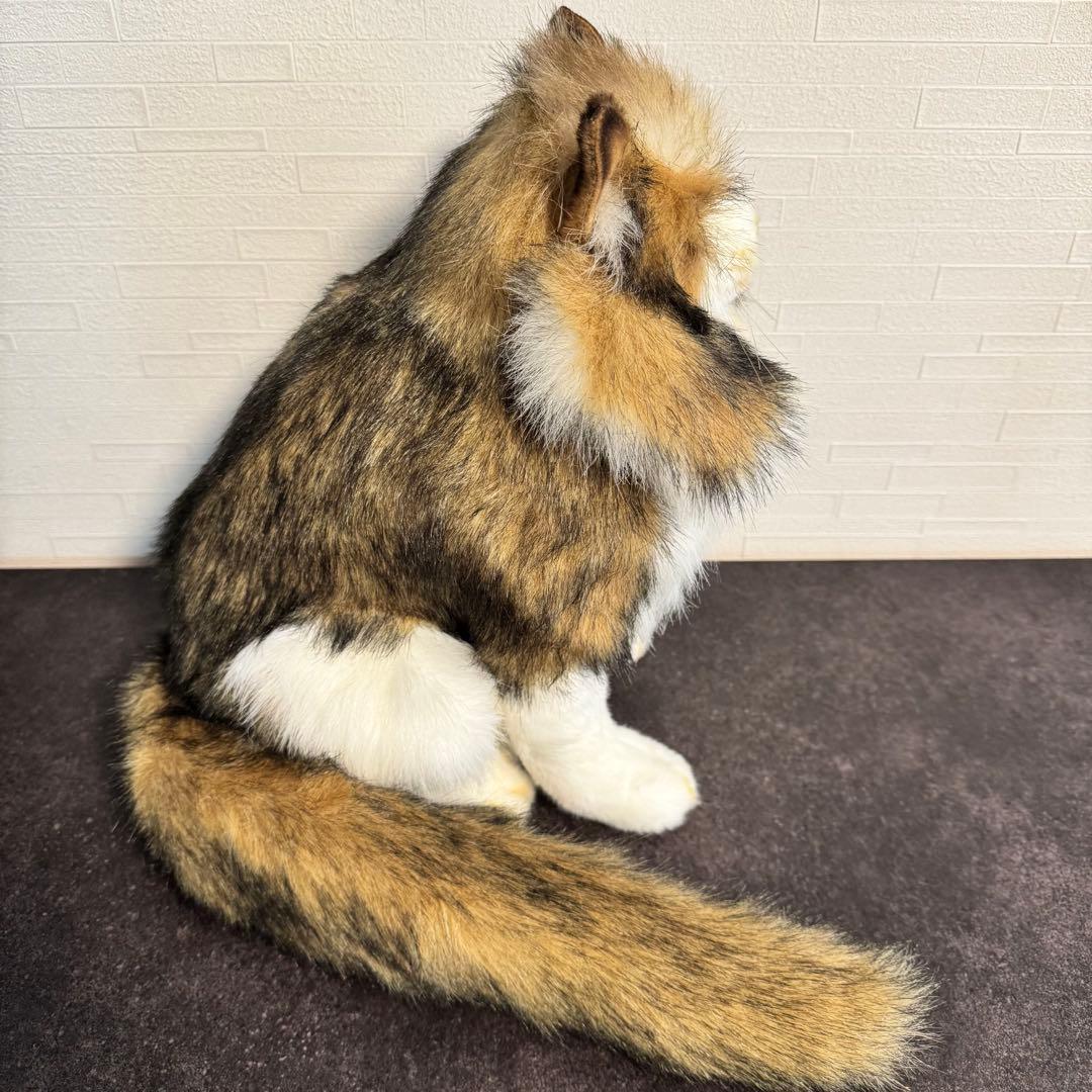 きな○ HANSA （ハンサ）ノルウェージャンフォレストキャット