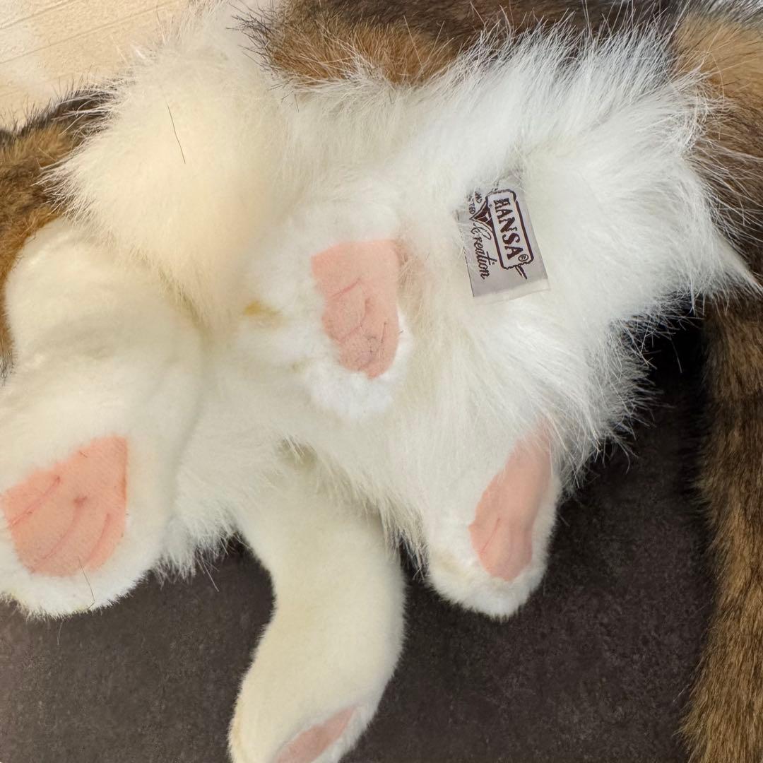 きな○ HANSA （ハンサ）ノルウェージャンフォレストキャット