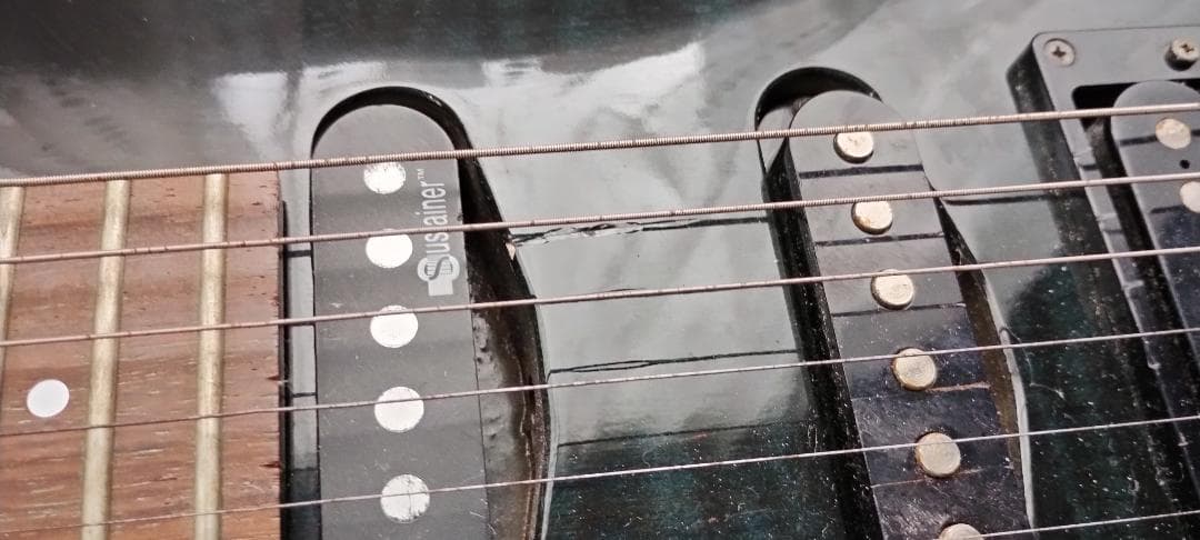 フェルナンデス　 サスティナー付き レフティ仕様