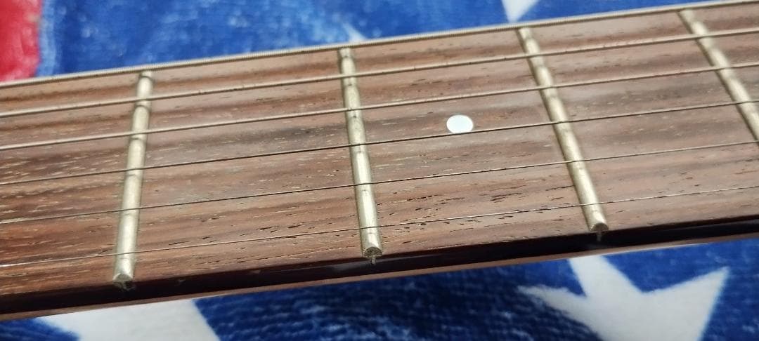 フェルナンデス　 サスティナー付き レフティ仕様