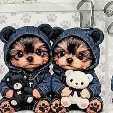 かわいい♡ヨーキーちゃん