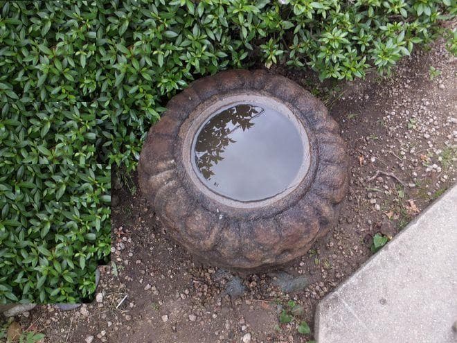 【希少品蓮華台見立て水鉢】オブジェ庭石置物箱庭テラス屋上庭園坪庭造園ガーデニング