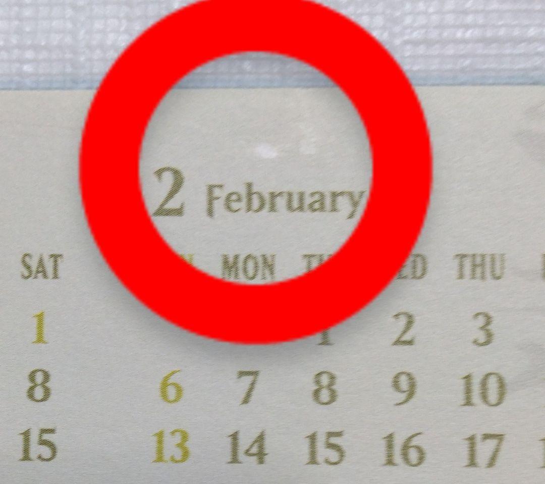 マジックザギャザリング　2022年ポスターカレンダー