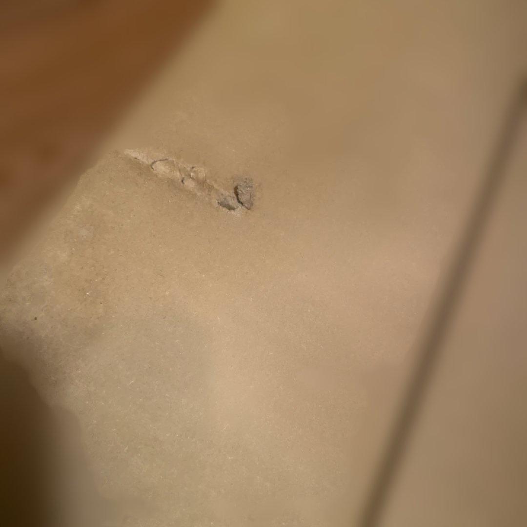 パナソニック NEL4600EN LE9 ライトバーのみ