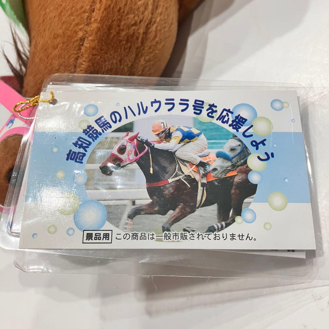 ピ*ー様 ハルウララ ゼッケン1高知競馬 ぬいぐるみ 応援タグ&単勝タグ