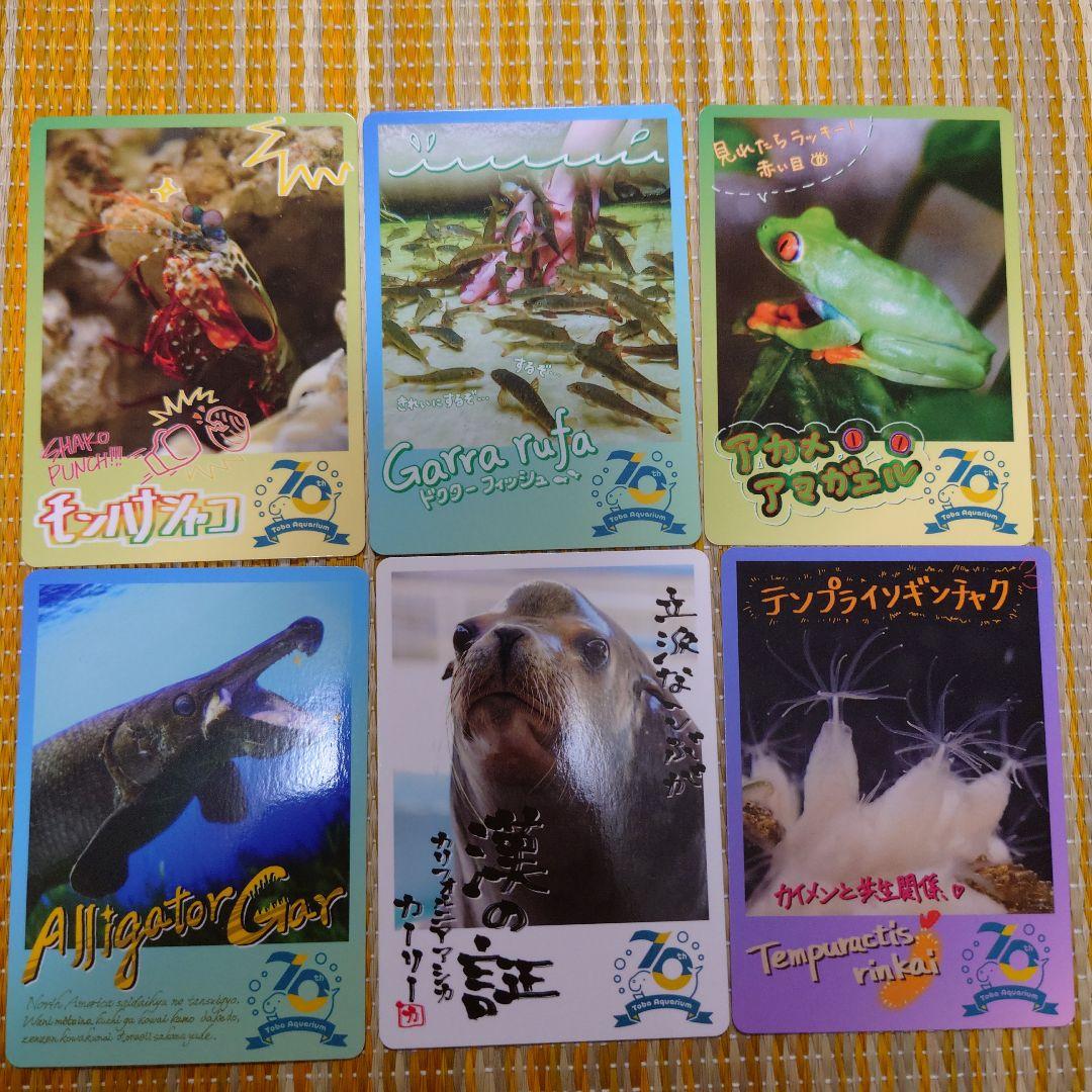 鳥羽水族館 70周年 コレクションカード - メルカリ