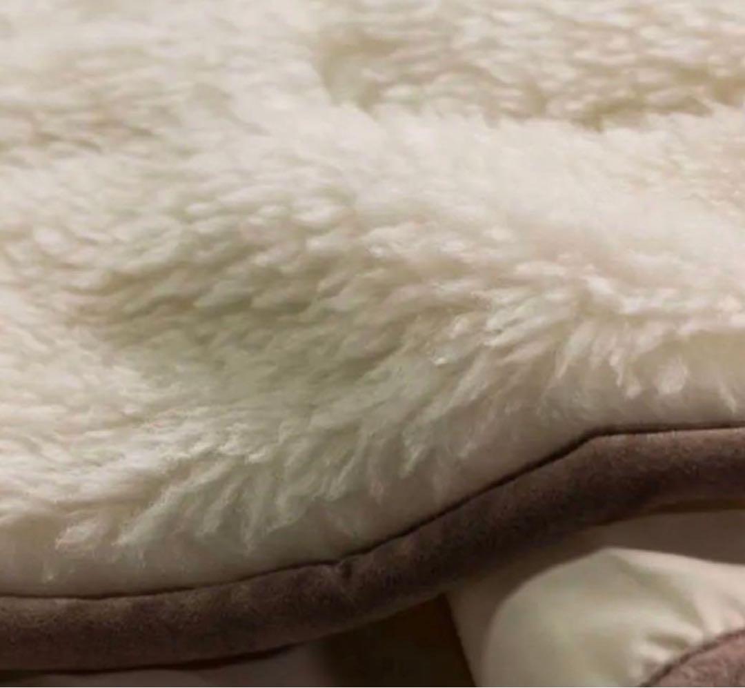 The PREMIUM Sofwool ザ・プレミアム ソフゥール 掛け毛布