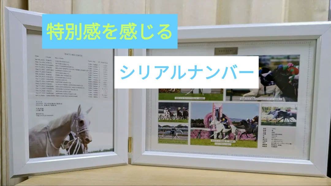 非売品】100個限定ソダシ引退記念写真入デザインパネル☆シリアル