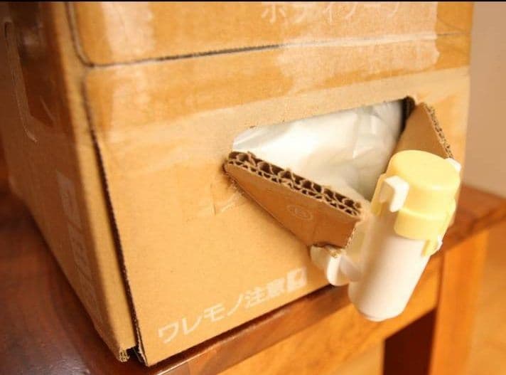 スニーボディソープ 10L×1 KOSE N&COネイチャーアンドコー