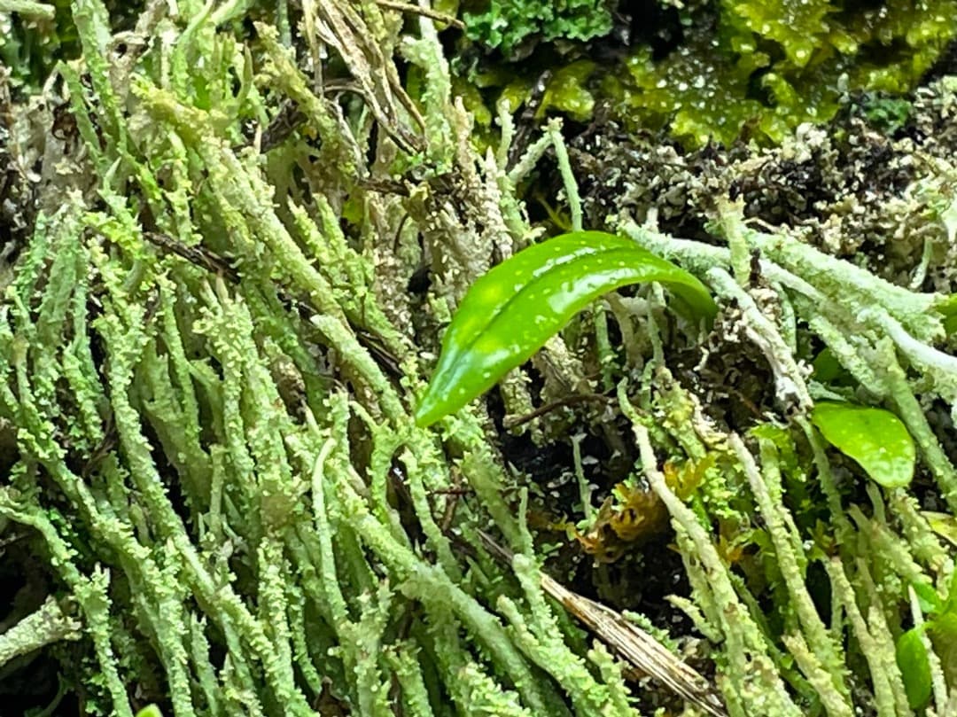 F藍吹雪様　確認用ページ