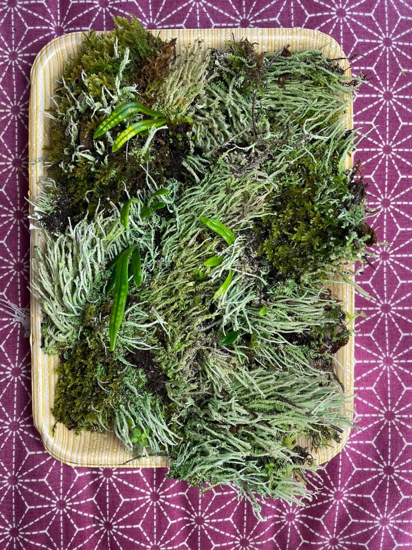 F藍吹雪様　確認用ページ