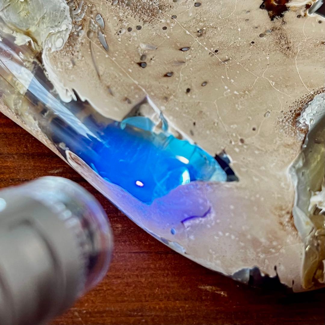 鑑別付 琥珀 原石 標本 巨大 タイガー アンバー レア 希少 鑑賞石