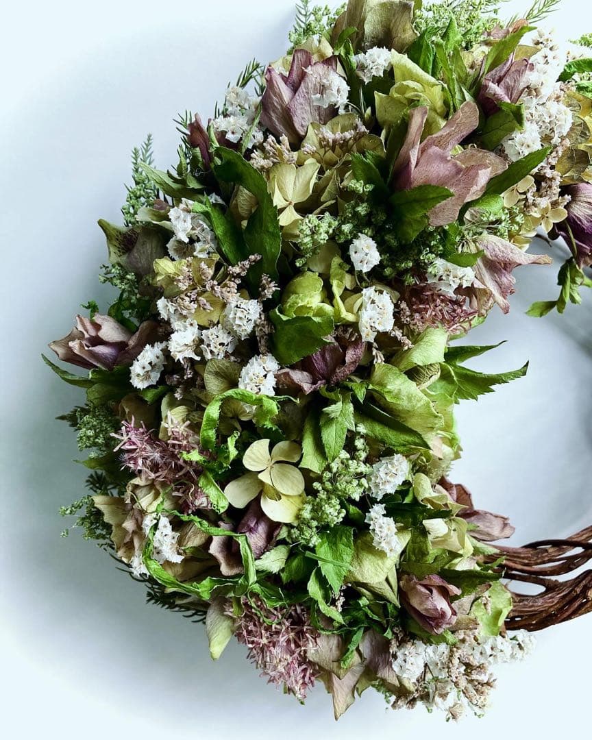 クリスマスローズ　くすみパープル　オーバルハーフリース　ドライフラワー