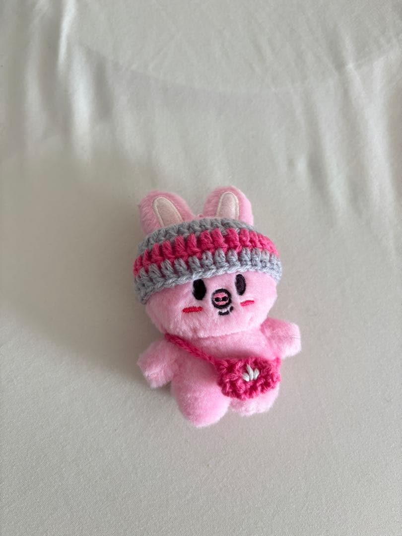 【オーダー受付中】straykids skzoo10cm ぬい服