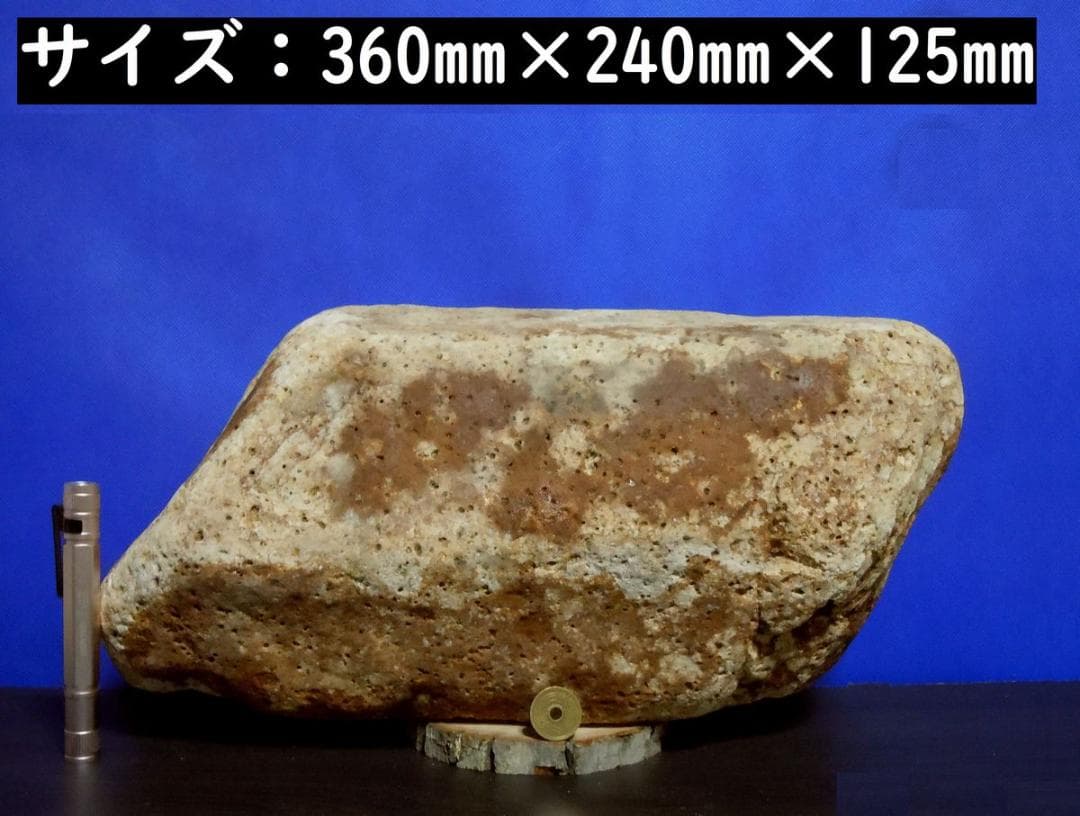 【薬石苑】超希少！元祖・小滝川源流の姫川薬石・多用途・鉱物標本・置物・15,ｋｇ