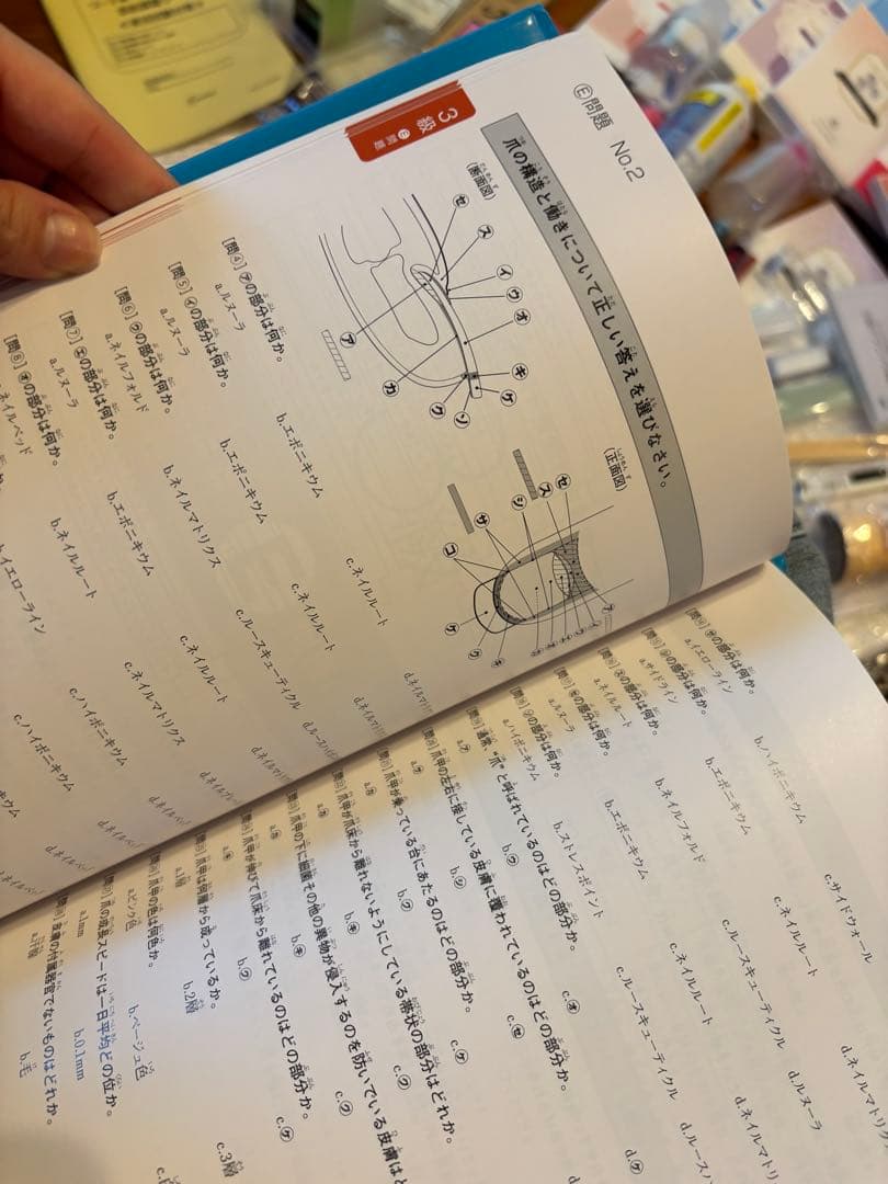 ネイリスト技能検定 3級2級 DVD付 ヒューマンアカデミー ジェル検定