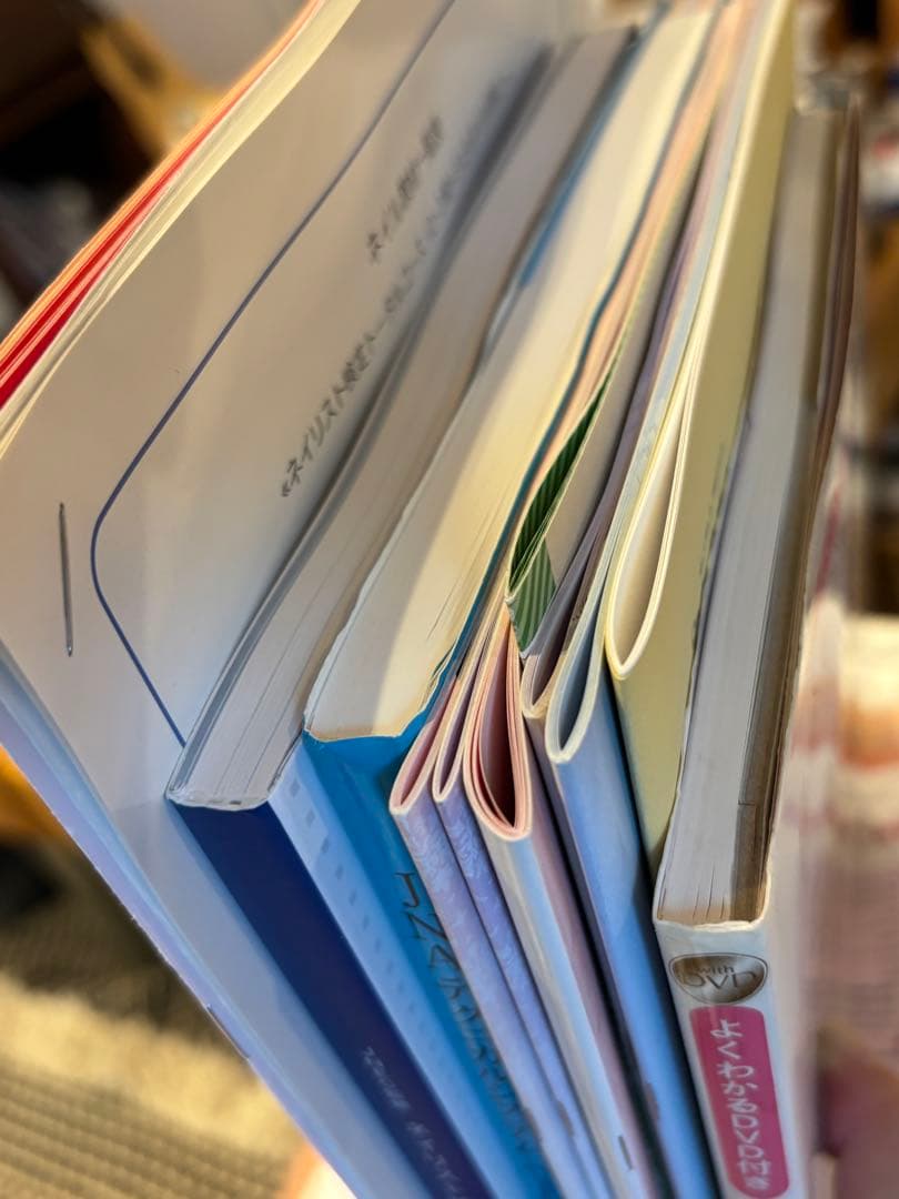 ネイリスト技能検定 3級2級 DVD付 ヒューマンアカデミー ジェル検定