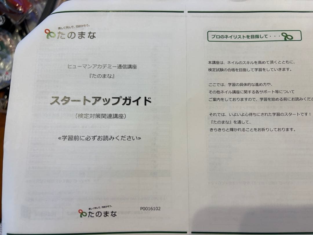 ネイリスト技能検定 3級2級 DVD付 ヒューマンアカデミー ジェル検定