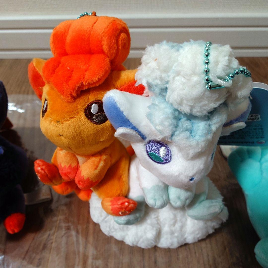 ポケモンセンター　ポケセン　限定　磁石でくっつくペアマスコット　マスコット